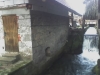 dvor-krka.jpg