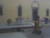 tale-lipica.jpg